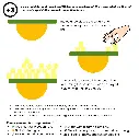 150.webp