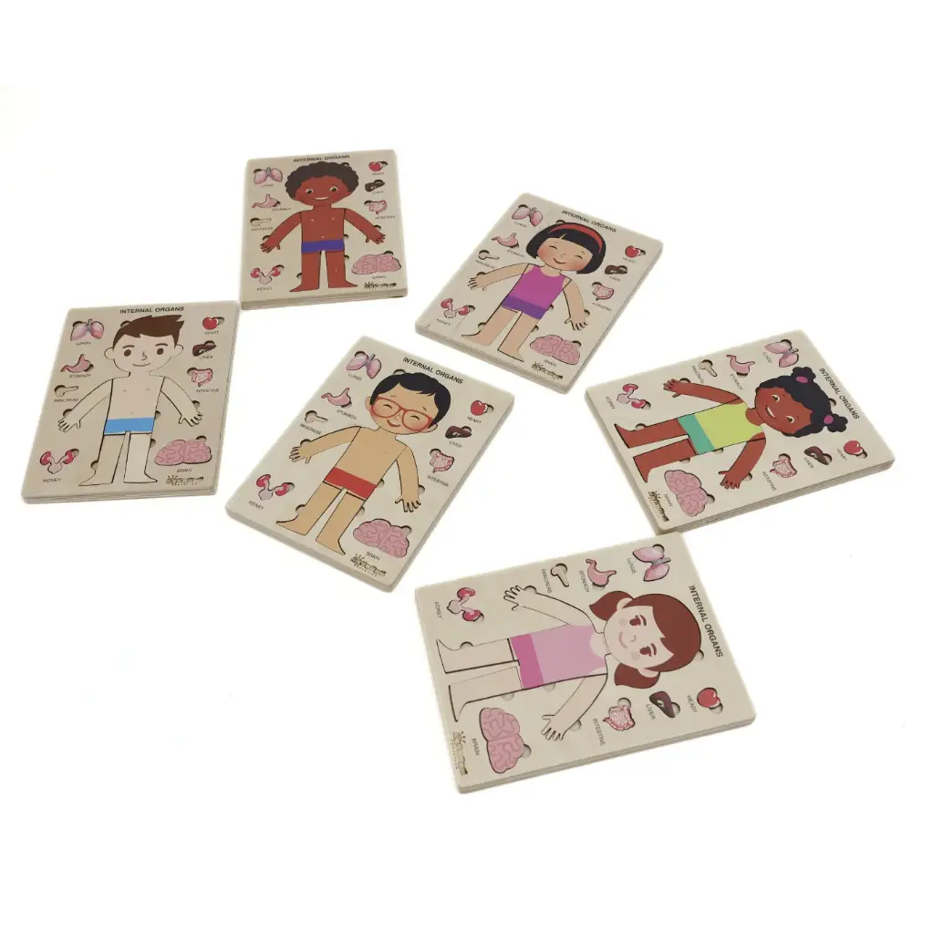 Montessori Wooden Human Body Puzzle – 6 Character Designs (Ages 3+)